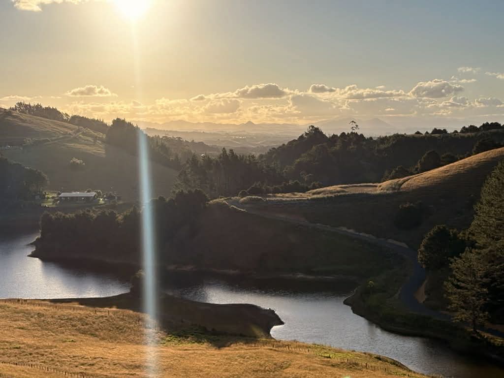 Ember and Ice sauna and cold plunge location at Ginger Farm Whangarei